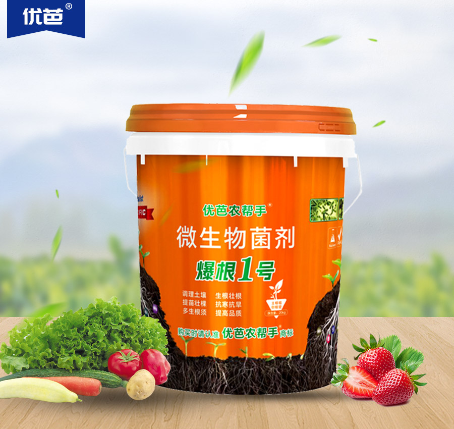 爆根1號(hào)
